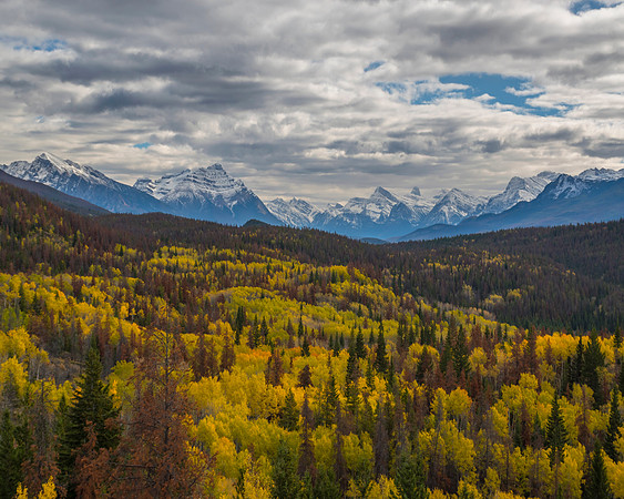 Jasper in the Fall