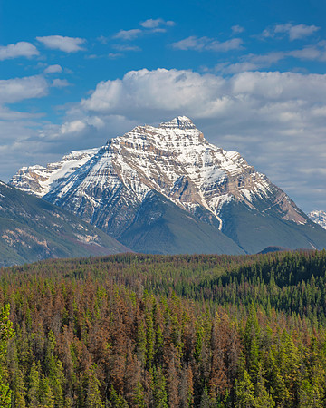Mount Kerkeslin in the SPring