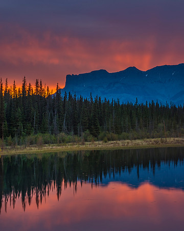 Rainbow Roche Miette