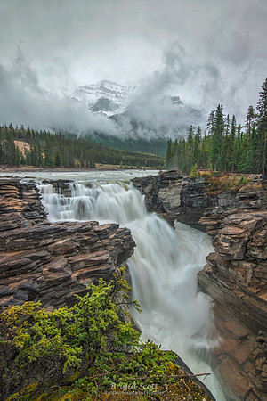 Snowy Athabasca Falls