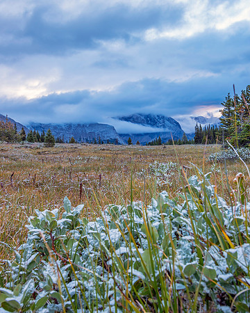 The fresh dusting of August snow