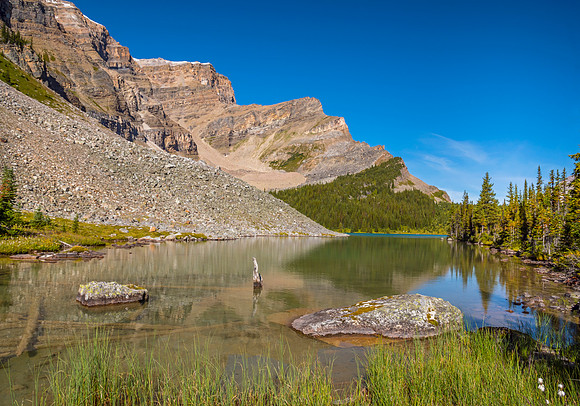 Moose Lake