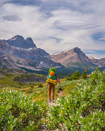 Walking through the Siffleur Valley towards the junction for Clearwater Pass