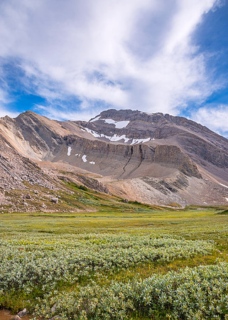 Looking back at where we spotted our wolfie friend, beneath Devon Mtn.