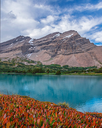 Mount Willingdon